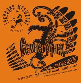 Господин Музыкант R12 - струны