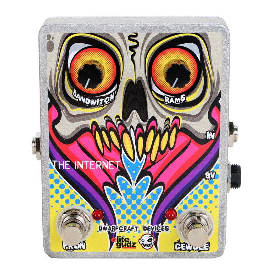 Dwarfcraft Devices The Internet - гитарный эффект