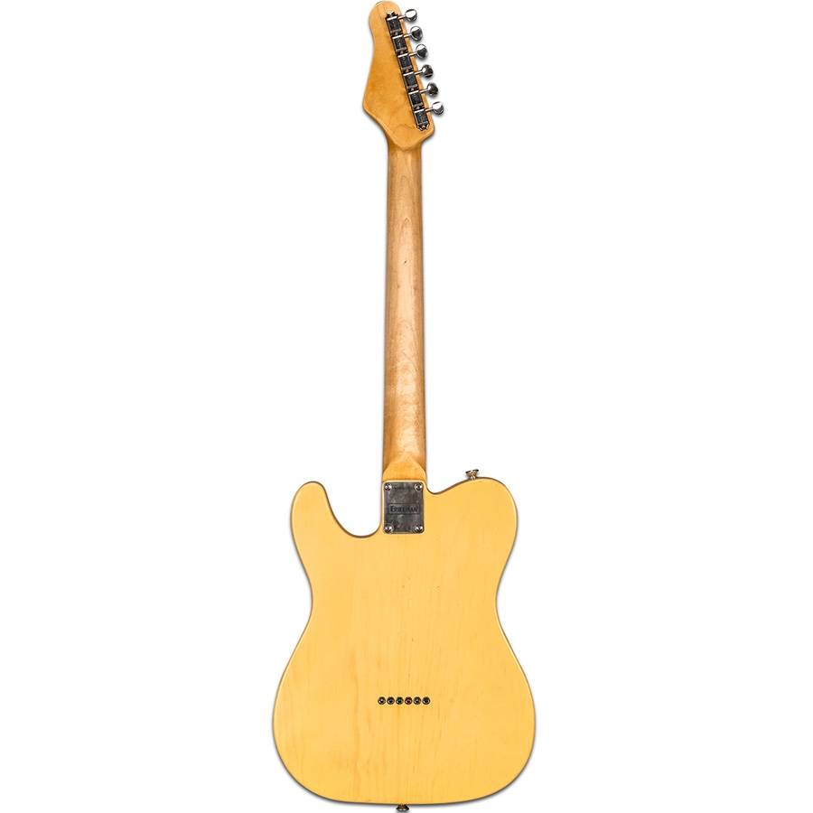 Friedman Vintage-T Classic Guitar - гитара