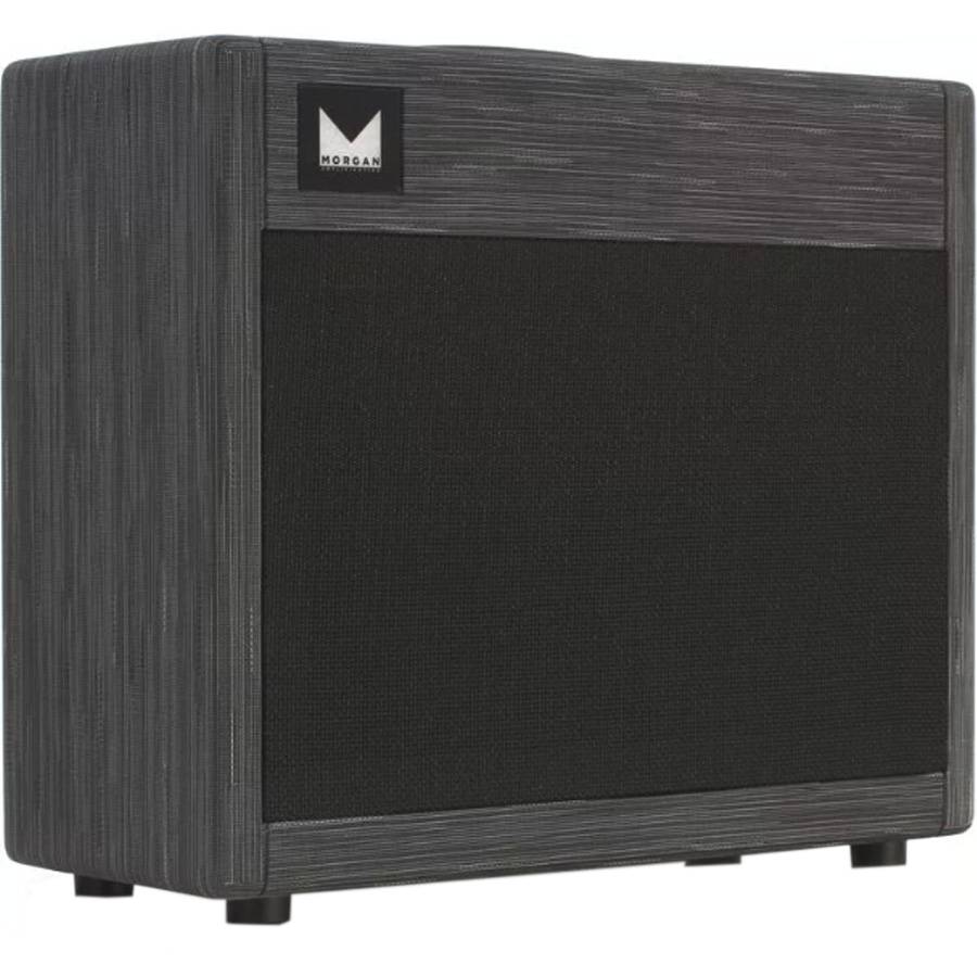 Morgan Dual 20 Combo - комбоусилитель