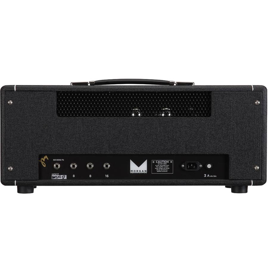 Morgan SW50R Head - усилитель (голова)