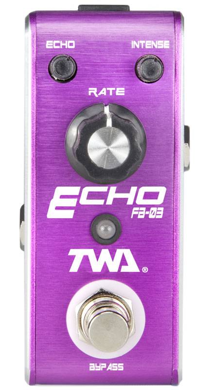 TOTALLY WYCKED AUDIO FLY BOYS Echo FB-03 - гитарный эффект