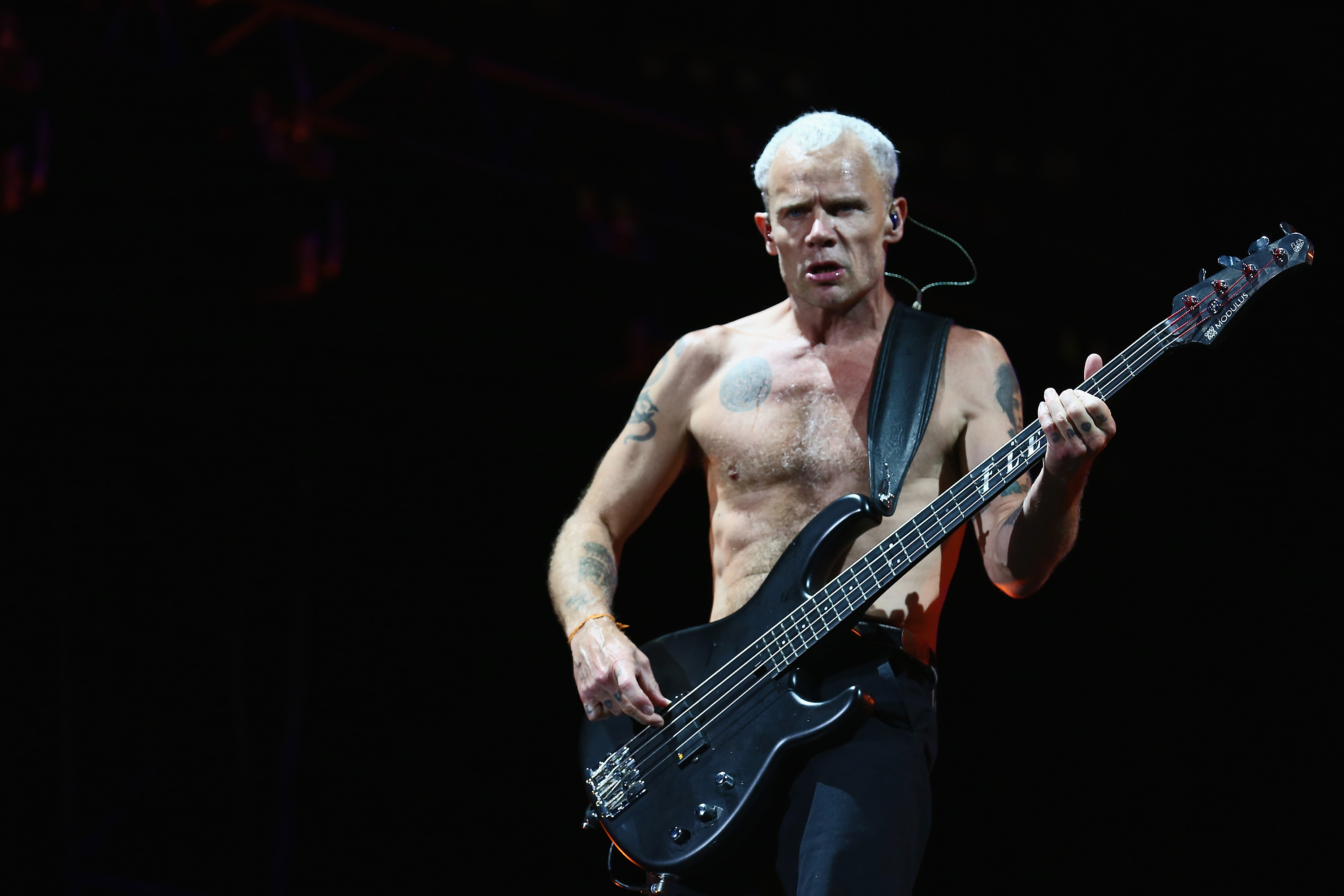 Оборудование Flea (Red Hot Chili Peppers)