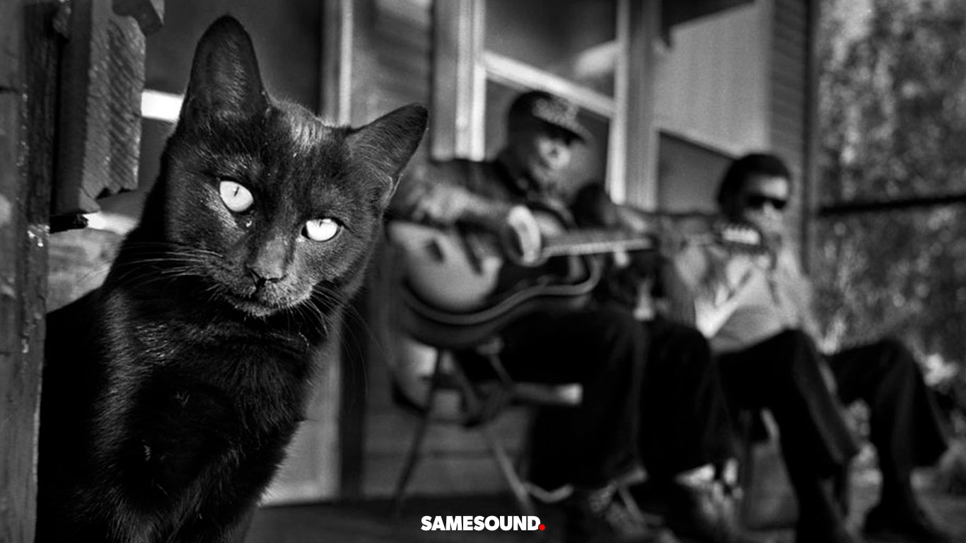 Наука блюза